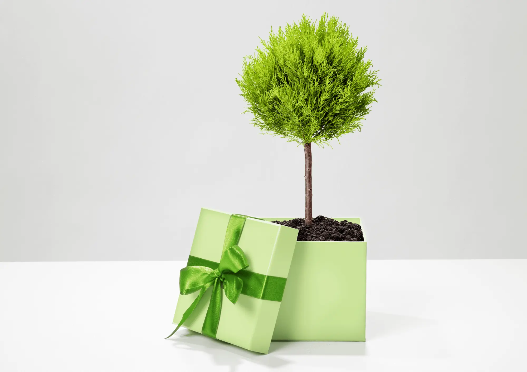 Goodies écologiques pour une politique RSE Goodies écologiques pour une politique RSE